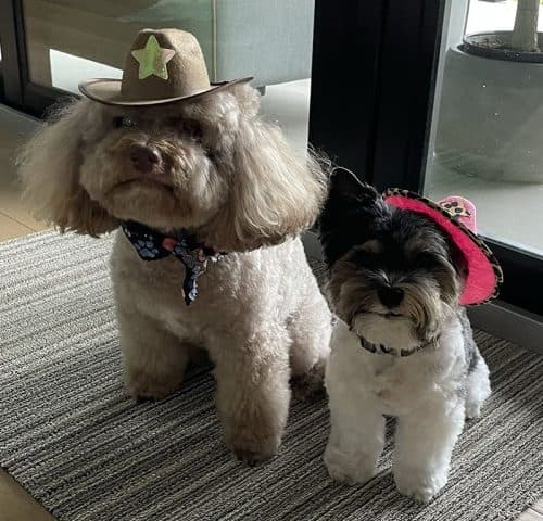 Dr. Zack with patient